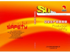 EHSCity提供安全手册定制服务图3