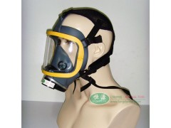 沧州南华安全防护 过滤式防毒面具全面罩、半面具、滤毒罐、滤毒盒图2