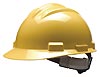 S61 Hard Hat