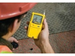 加拿大BW GAMAX-XT4泵吸式四合一气体报警器图2