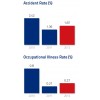 Accident Rate & Occupational Illness Rate 美洲电信(AMéRICA MóVIL) Annual Sustainability Report 2012