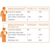 Safety Performance annual 印度塔塔汽车公司(TATA MOTORS) SustainabilityReport2012-13