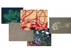 专注于制药化工污水处理优化/设计/建造/难题解决图3