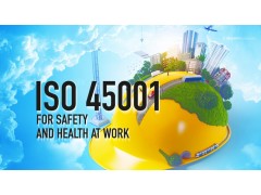 ISO45001高级培训研讨会 2020 上海 ISO 45001 Workshop图2