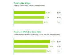 Total_Incident_Rate&Environmental_Performance_PG_2019_Sustainability_Report图1