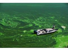 EHSCity水处理咨询服务 Industrial Water & Wastewater Services图2