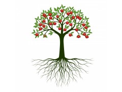 事故原因分析(事故树分析法) 12/9~10 上海（可在线学习）Root Cause Analysis (RCA) Workshop图2
