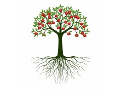 事故原因分析(事故树分析法)7/10~11 上海（可在线） Root Cause Analysis (RCA) Workshop图2