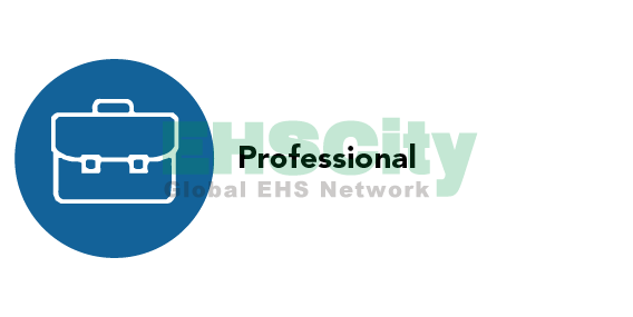 Professio<i></i>nal icon.