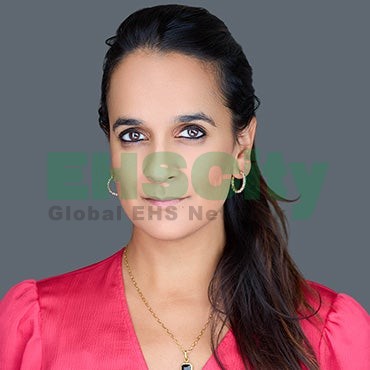 Anne Dhulesia, L.E.K. Consulting