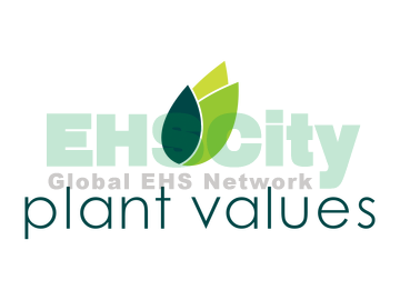 Logo  plant values