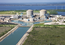 Nuclear energy: Information Services & Consulting