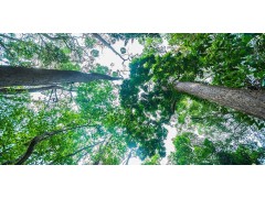 环境综合管理  9/9～10/2026  中国上海 Integrated environmental management图3