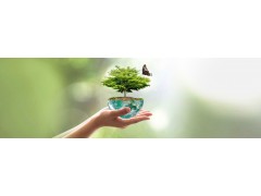 EHS综合管理基础 12/9～11/2026 中国 上海 Fundamentals of EHS图4