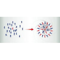 安全文化与领导培训研讨会 11/19～20/2026 中国 上海 Safety Culture and Leadership